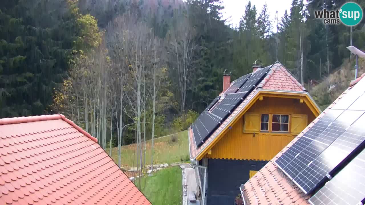 Web kamera Lukanja – Water Village | Pohorje Houses