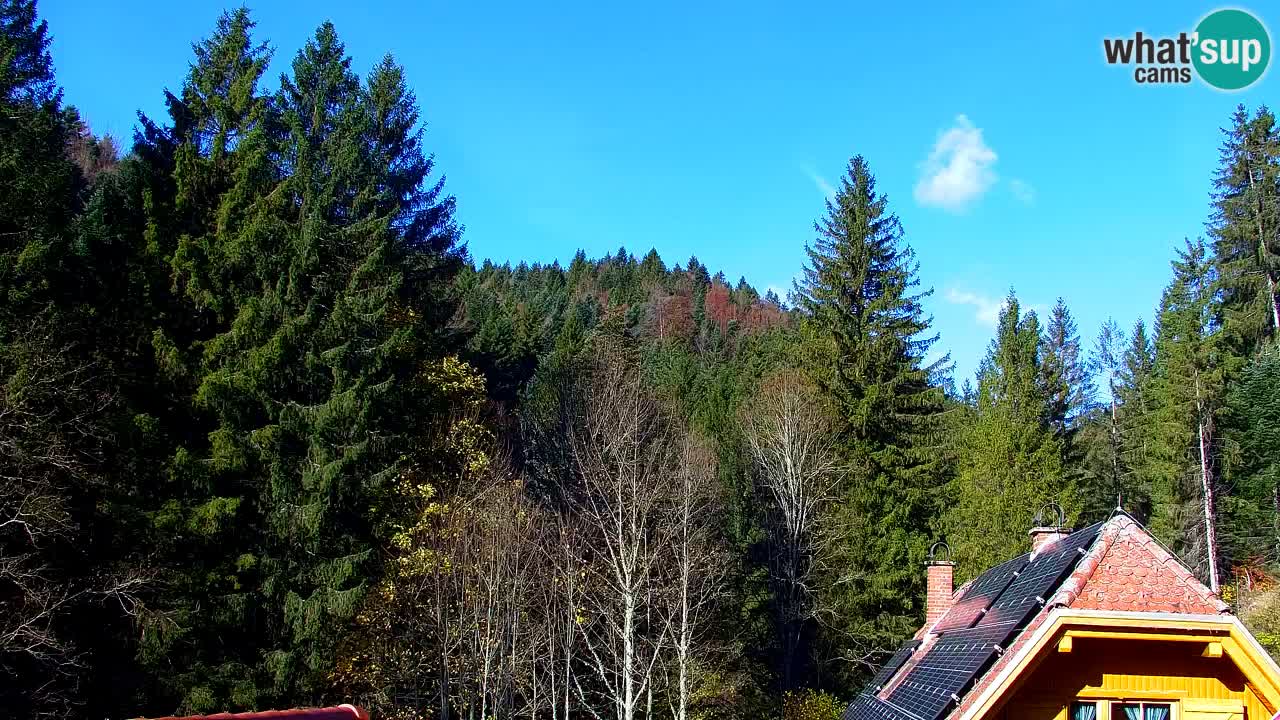 Webcam Lukanja – Pohorje houses a Water village