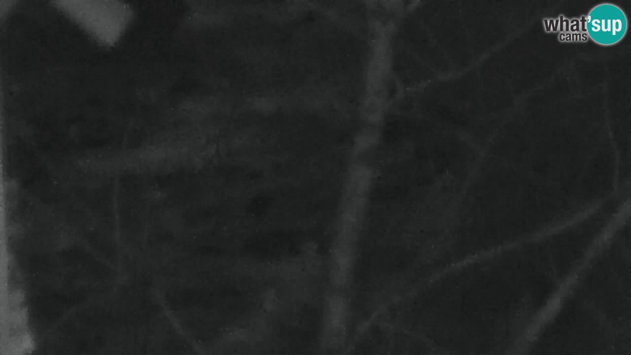 Webcam Lukanja – Water Village | Pohorje Houses