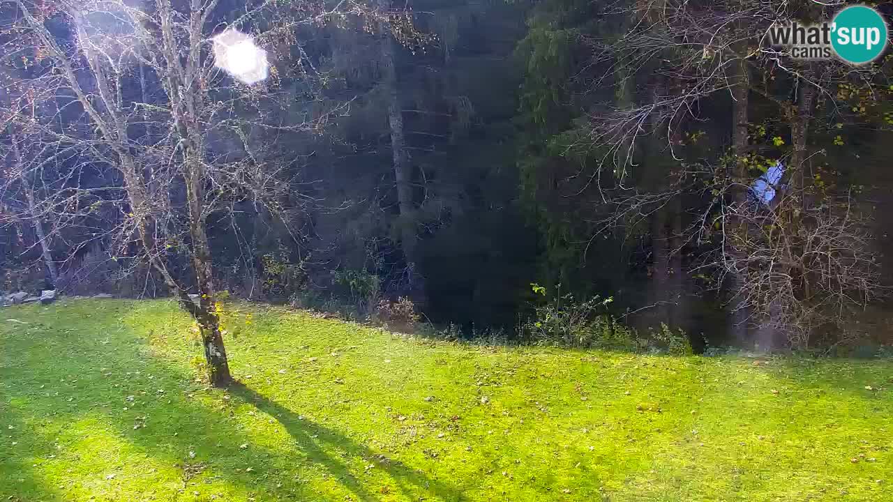 Web kamera Lukanja – Water Village | Pohorje Houses