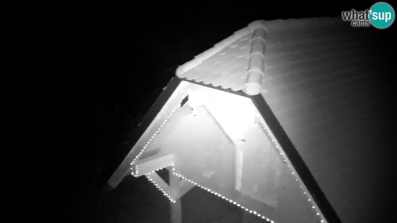 Webcam Lukanja – Water Village | Pohorje Houses