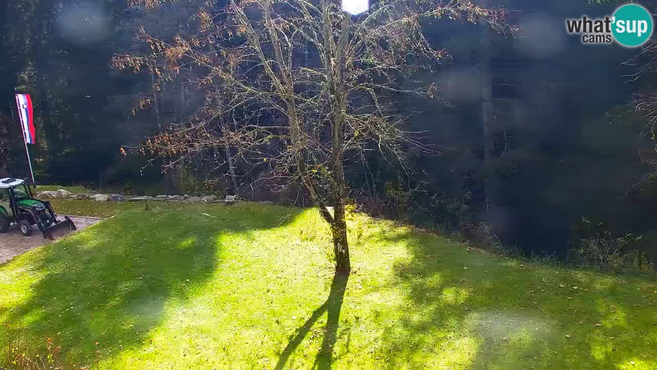 Spletna kamera Lukanja – Water Village | Pohorje Houses