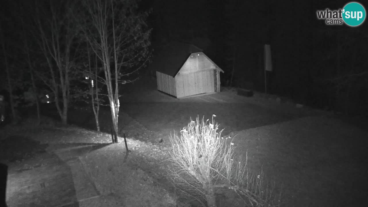 Webcam Lukanja – Water Village | Pohorje Houses