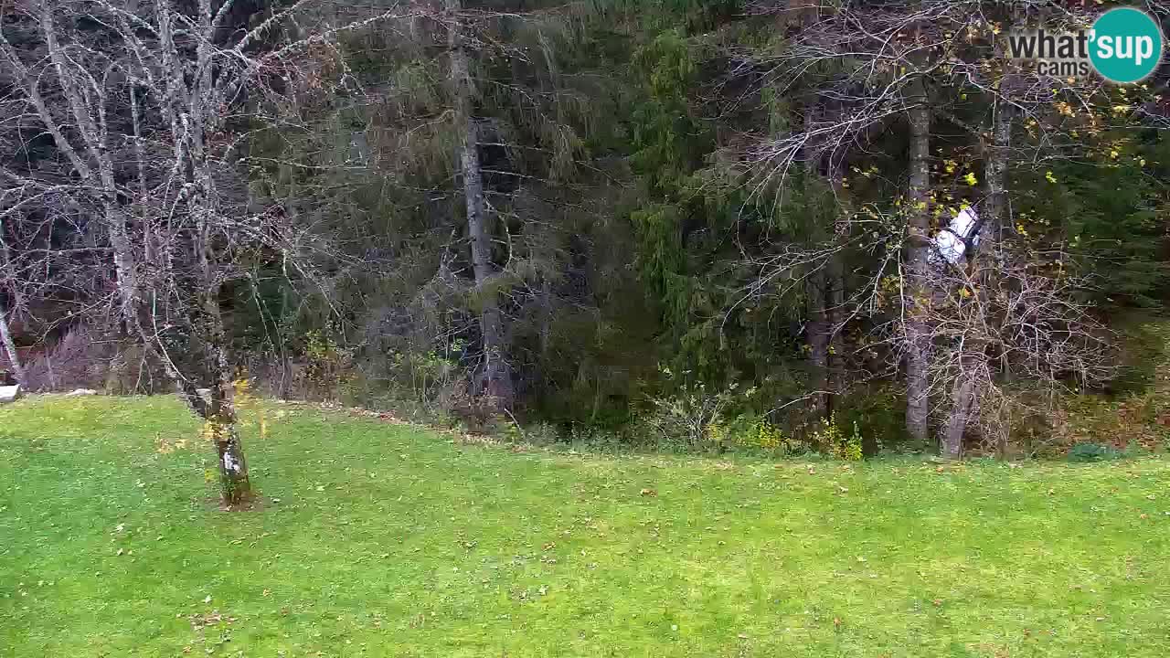 Web kamera Lukanja – Water Village | Pohorje Houses