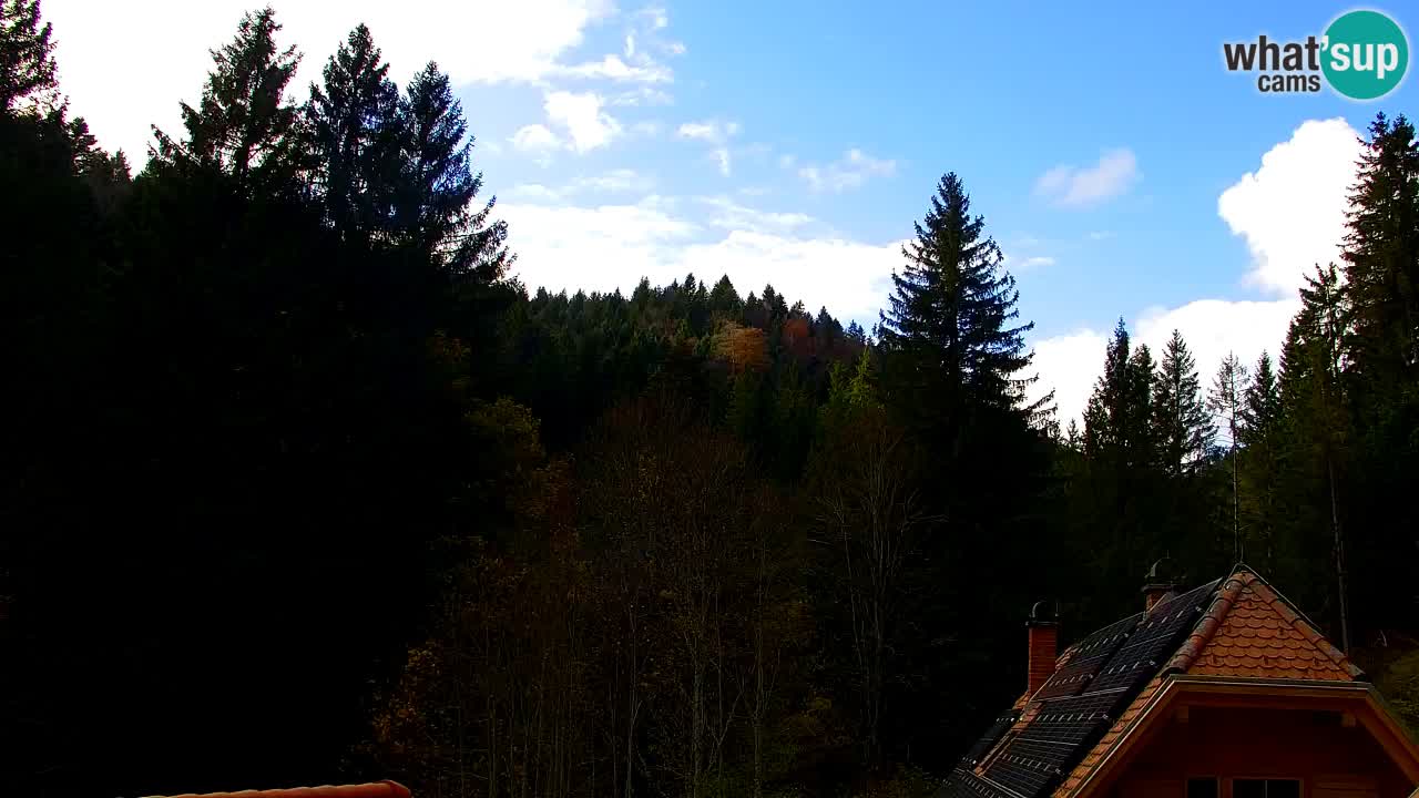 Webcam Lukanja – Water Village | Pohorje Houses