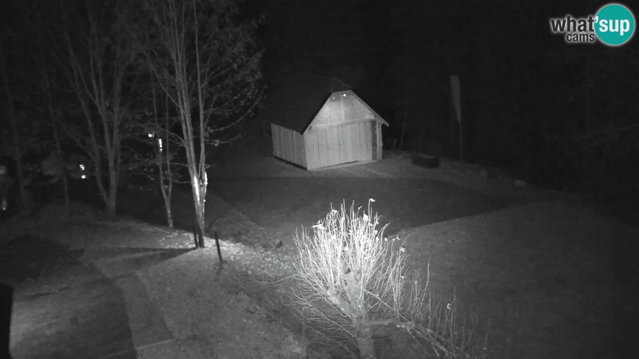 Webcam Lukanja – Pohorje houses a Water village