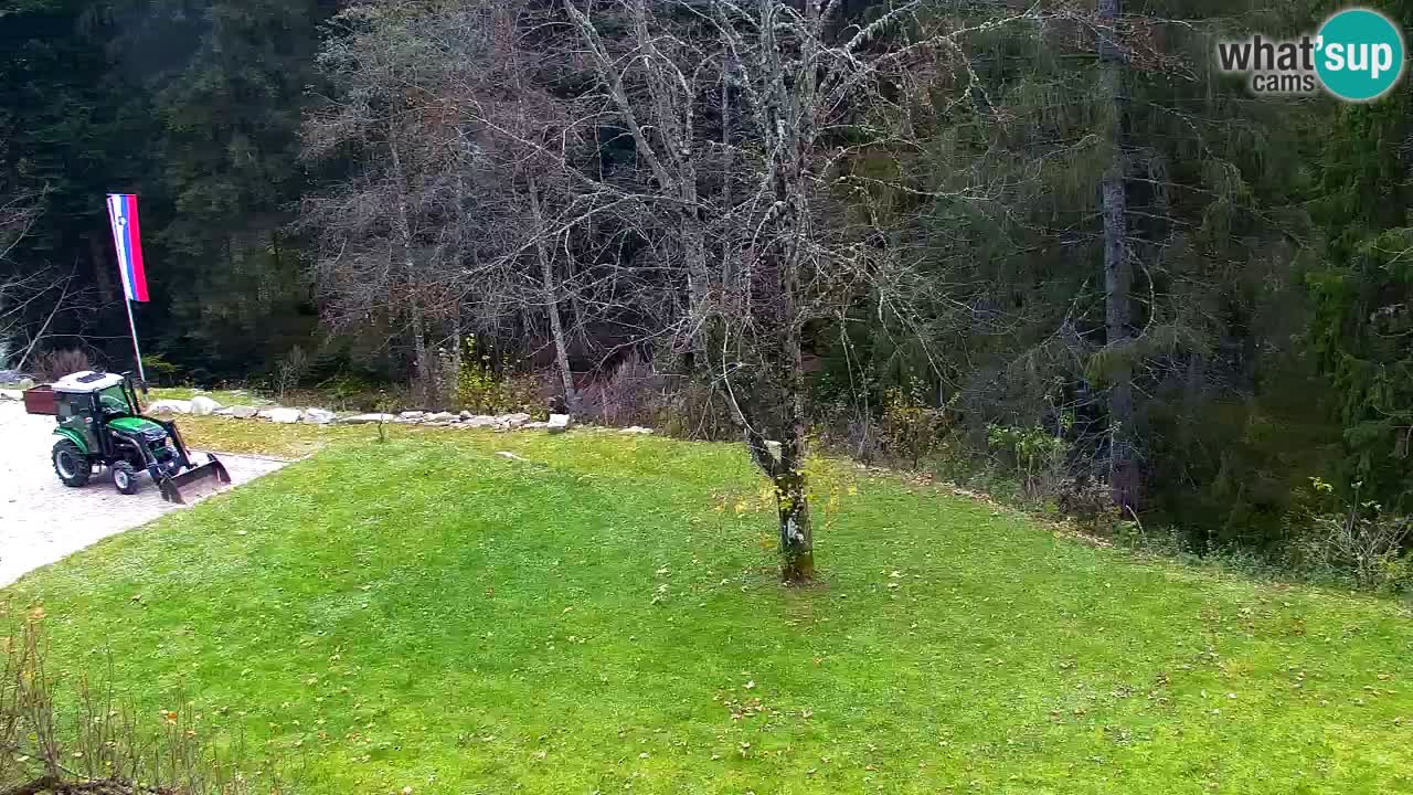 Webcam Lukanja – Water Village | Pohorje Houses