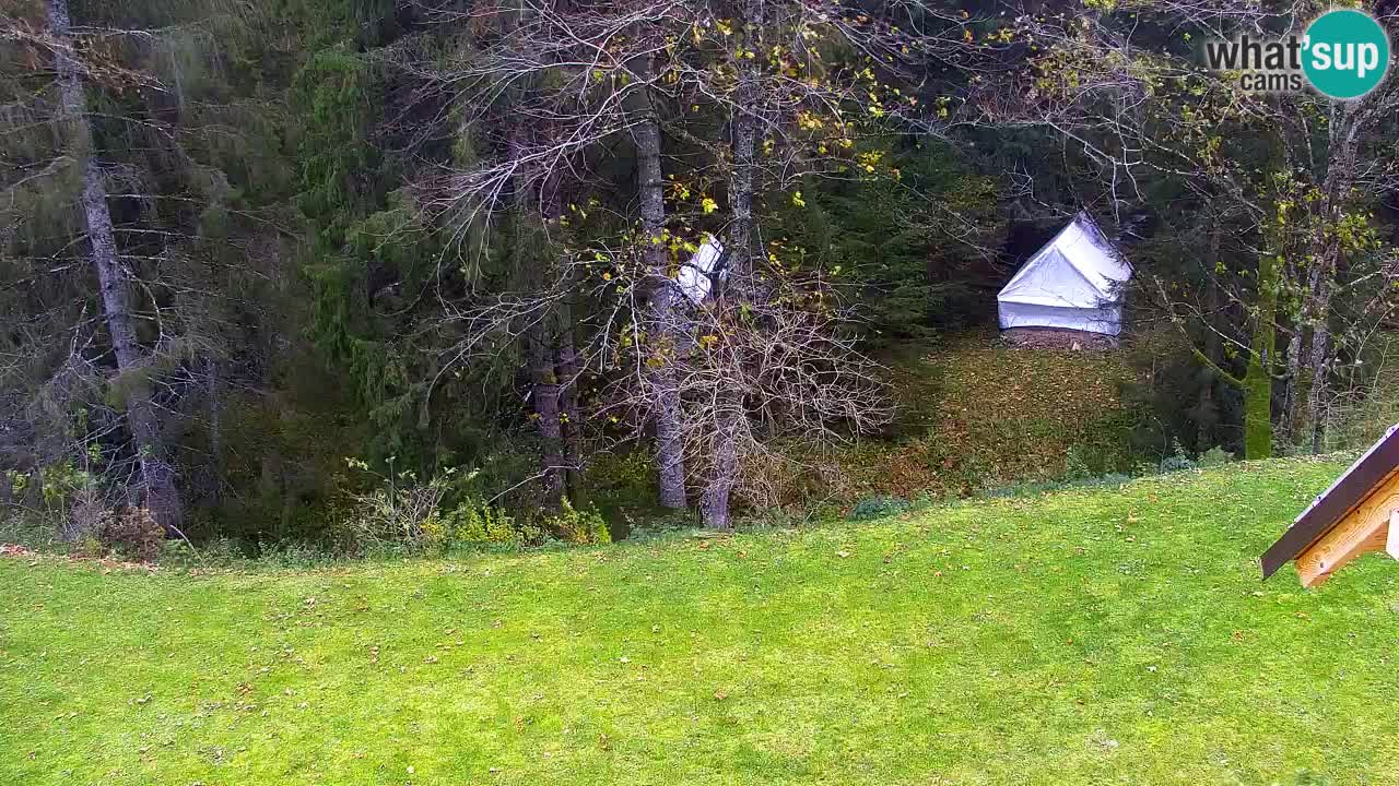 Webcam Lukanja – Water Village | Pohorje Houses