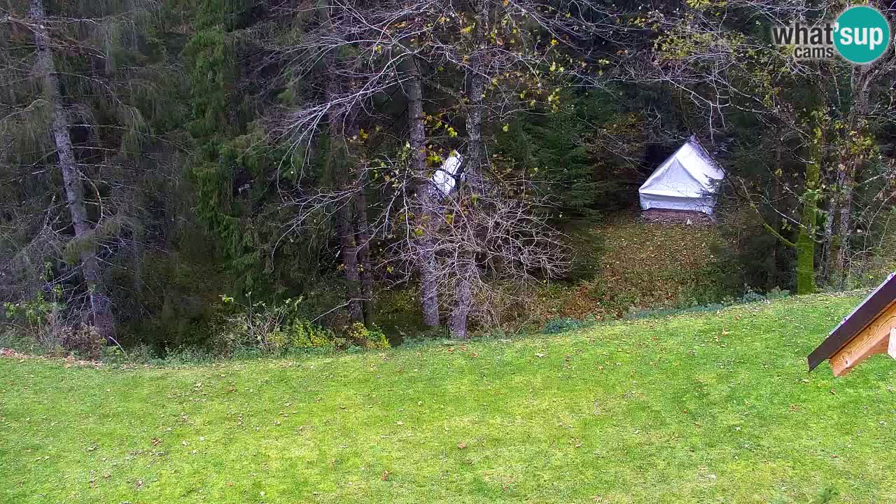 Webcam Lukanja – Water Village | Pohorje Houses