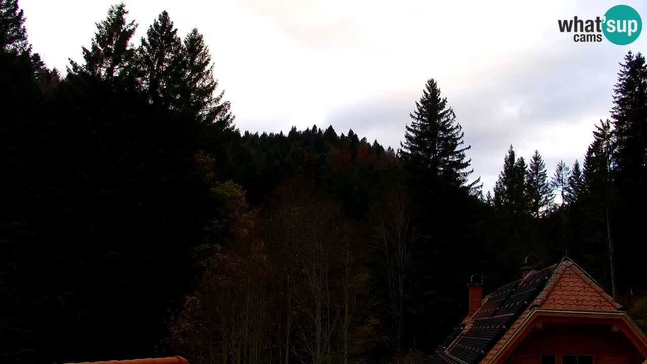 Webcam Lukanja – Water Village | Pohorje Houses