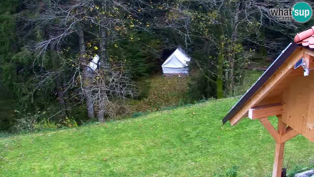 Spletna kamera Lukanja – Water Village | Pohorje Houses