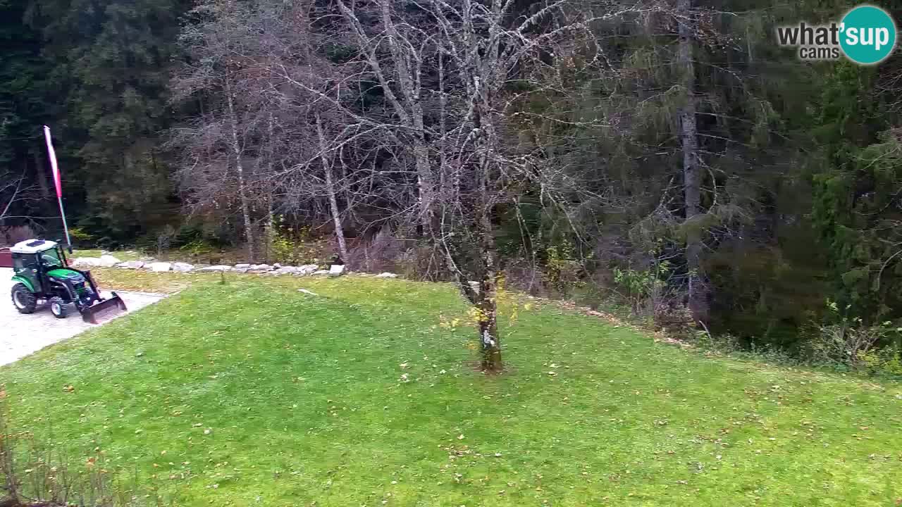 Webcam Lukanja – Water Village | Pohorje Houses