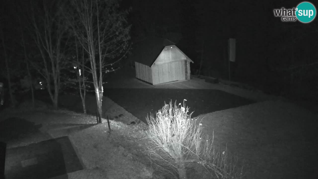 Webcam Lukanja – Pohorje houses a Water village