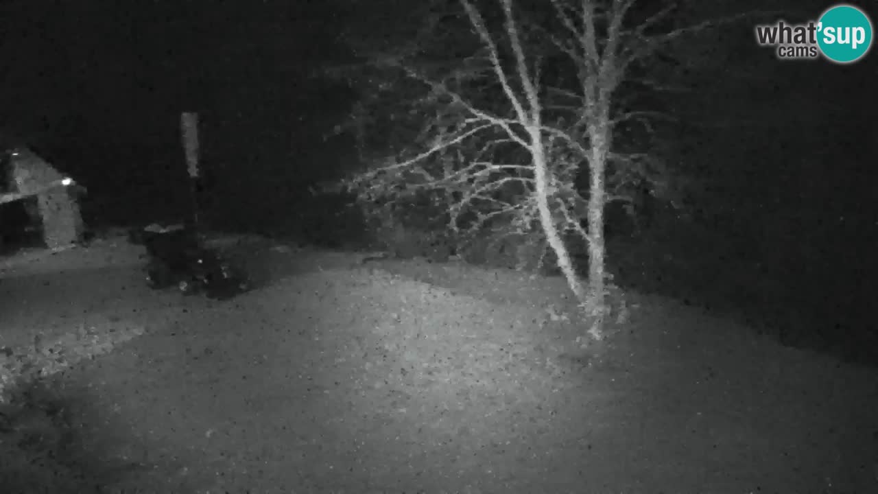 Webcam Lukanja – Water Village | Pohorje Houses