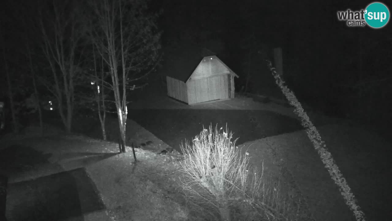 Webcam Lukanja – Pohorje houses a Water village