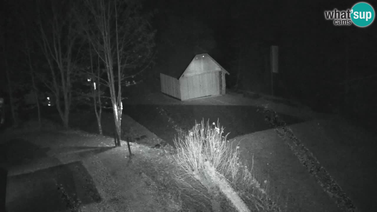 Webcam Lukanja – Pohorje houses a Water village