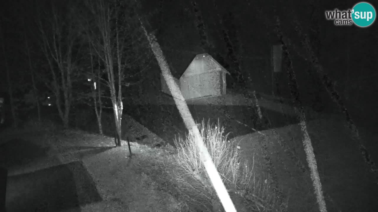 Webcam Lukanja – Pohorje houses a Water village