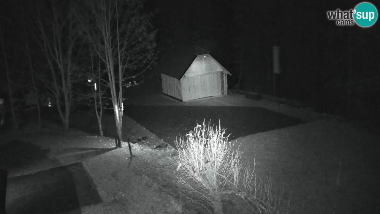 Webcam Lukanja – Water Village | Pohorje Houses