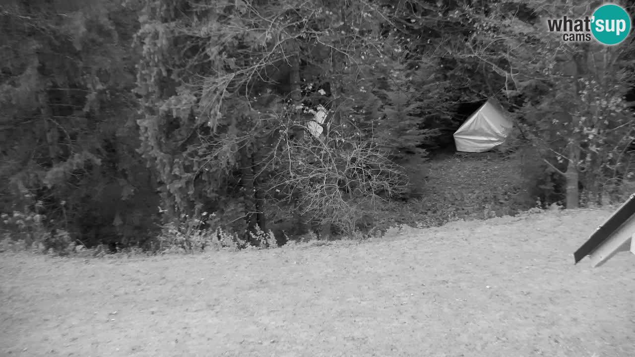 Web kamera Lukanja – Water Village | Pohorje Houses