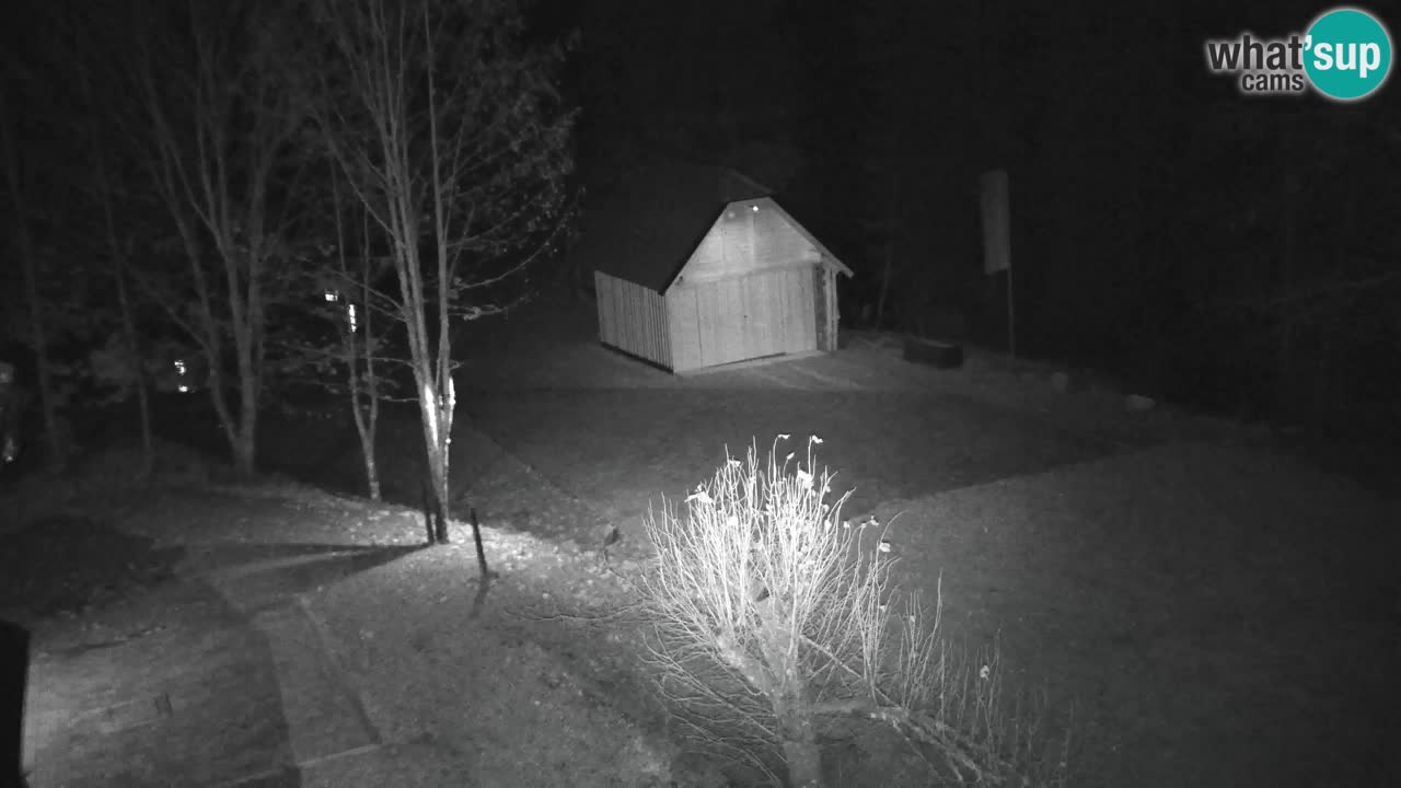 Webcam Lukanja – Water Village | Pohorje Houses