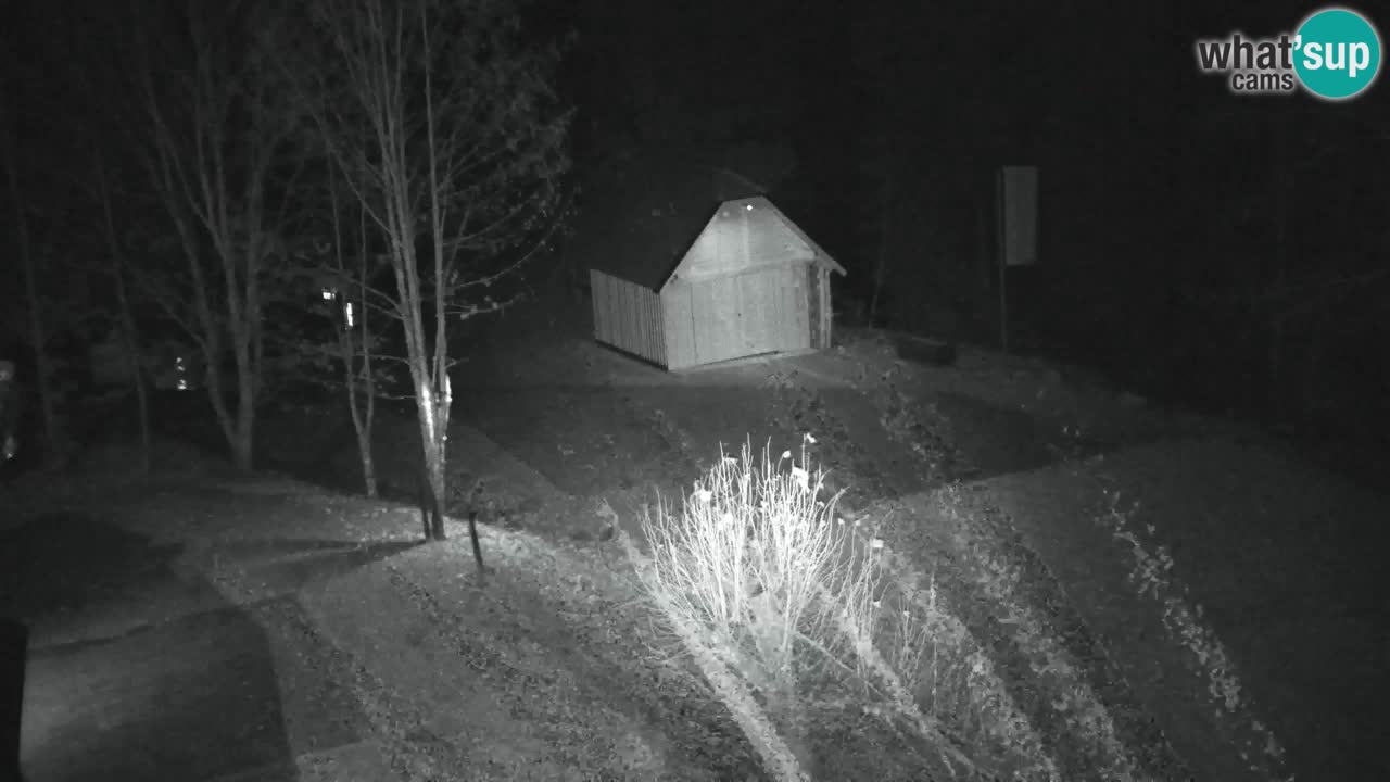 Webcam Lukanja – Pohorje houses a Water village