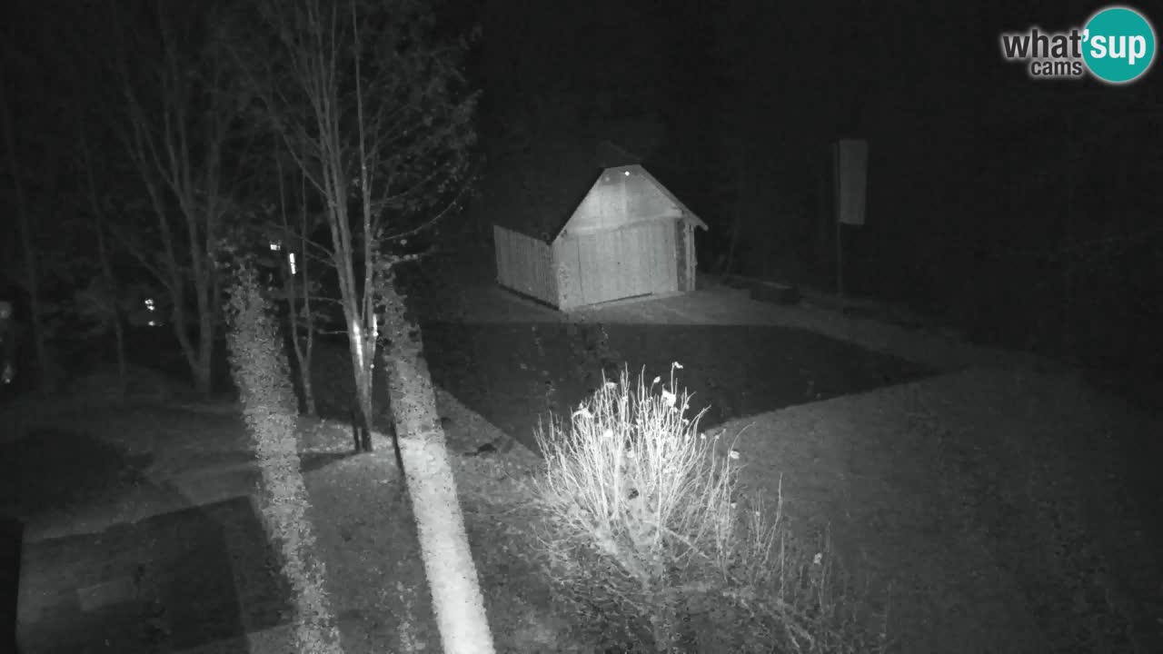 Webcam Lukanja – Water Village | Pohorje Houses