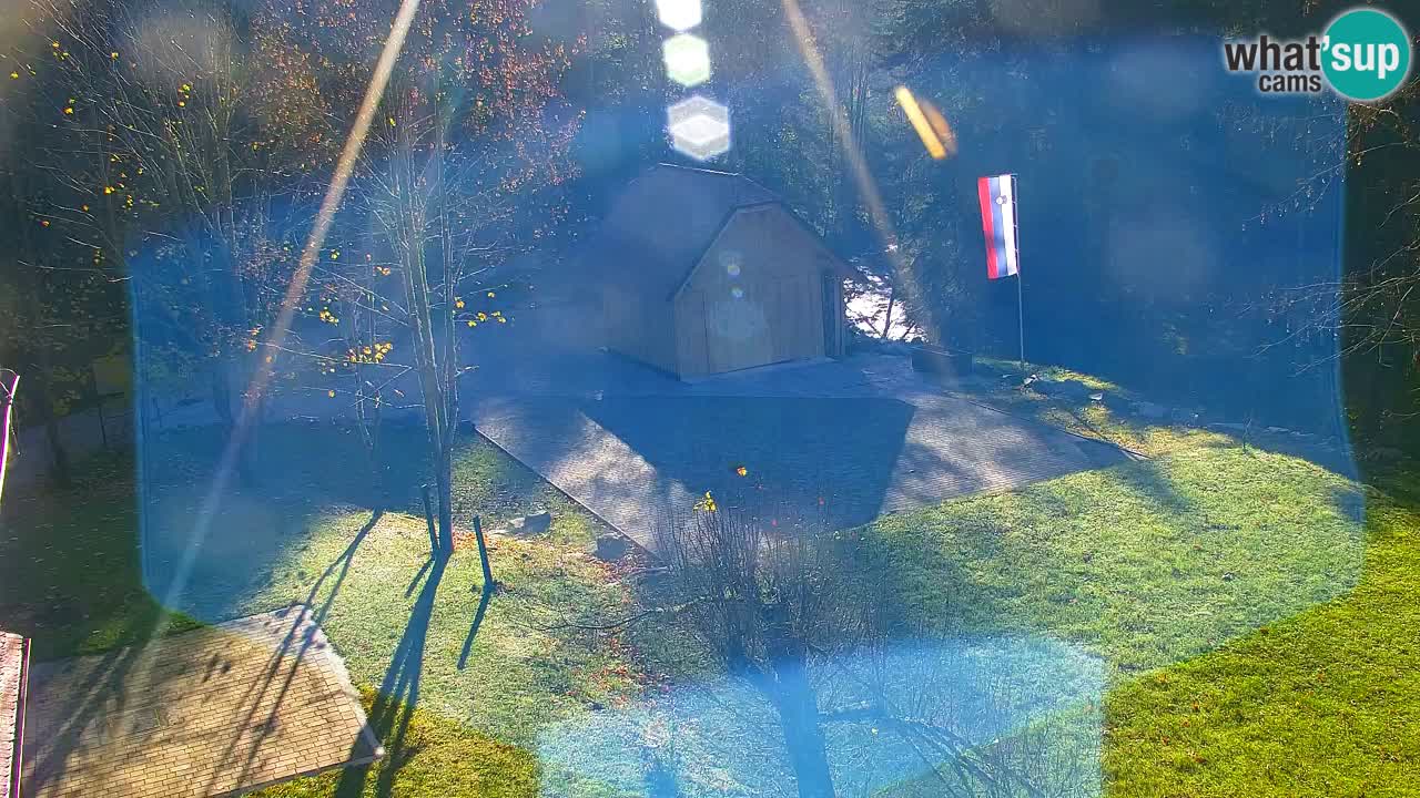 Webcam Lukanja – Water Village | Pohorje Houses