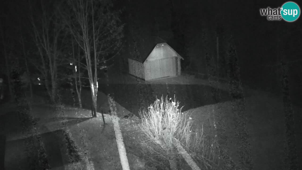 Webcam Lukanja – Water Village | Pohorje Houses