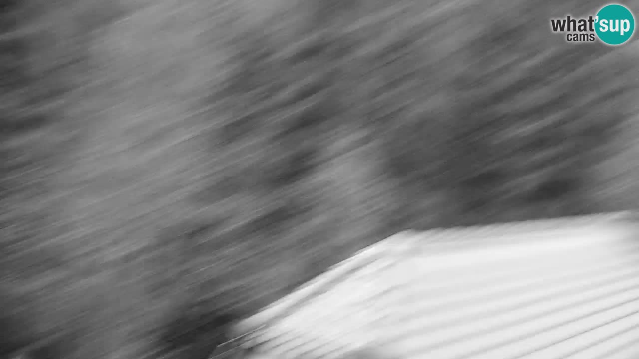 Webcam Lukanja – Water Village | Pohorje Houses