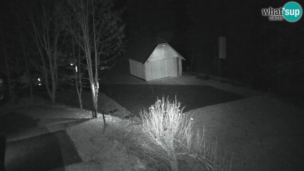 Webcam Lukanja – Pohorje houses a Water village