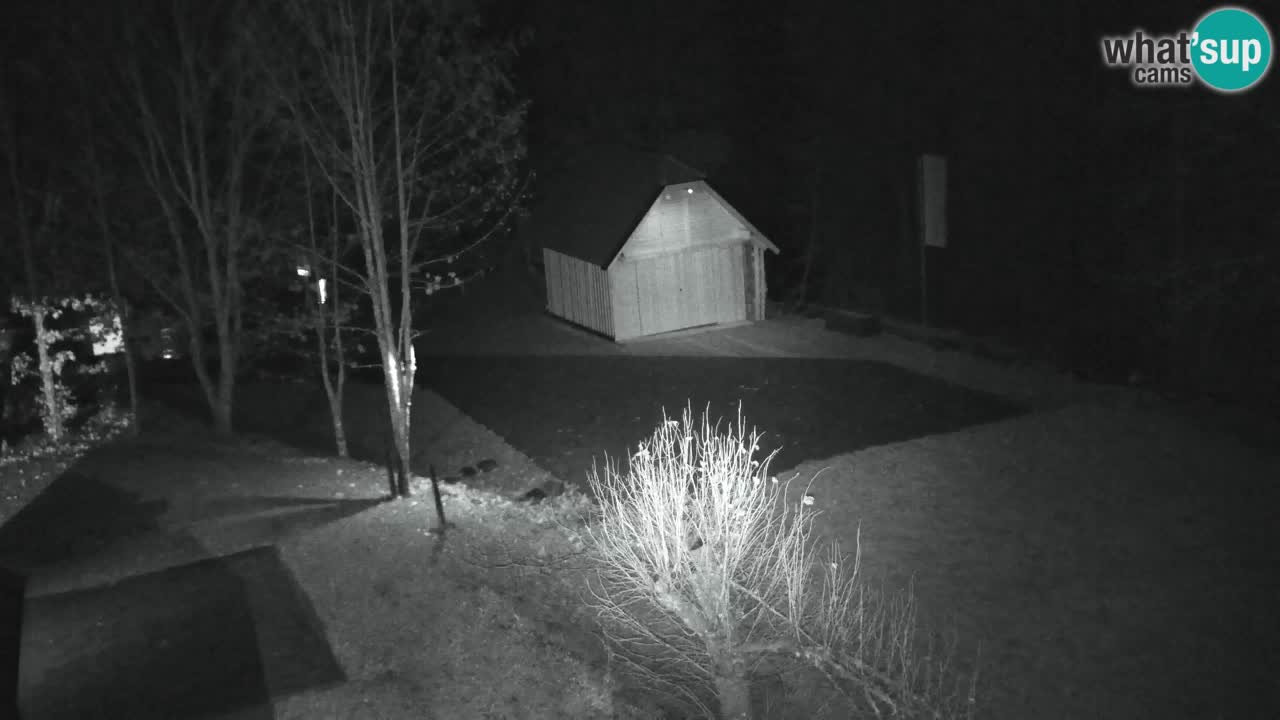 Webcam Lukanja – Water Village | Pohorje Houses