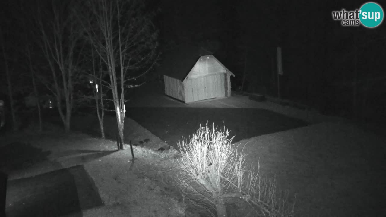 Web kamera Lukanja – Water Village | Pohorje Houses