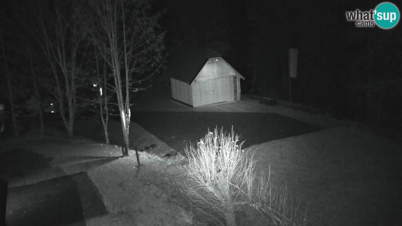 Webcam Lukanja – Pohorje houses a Water village