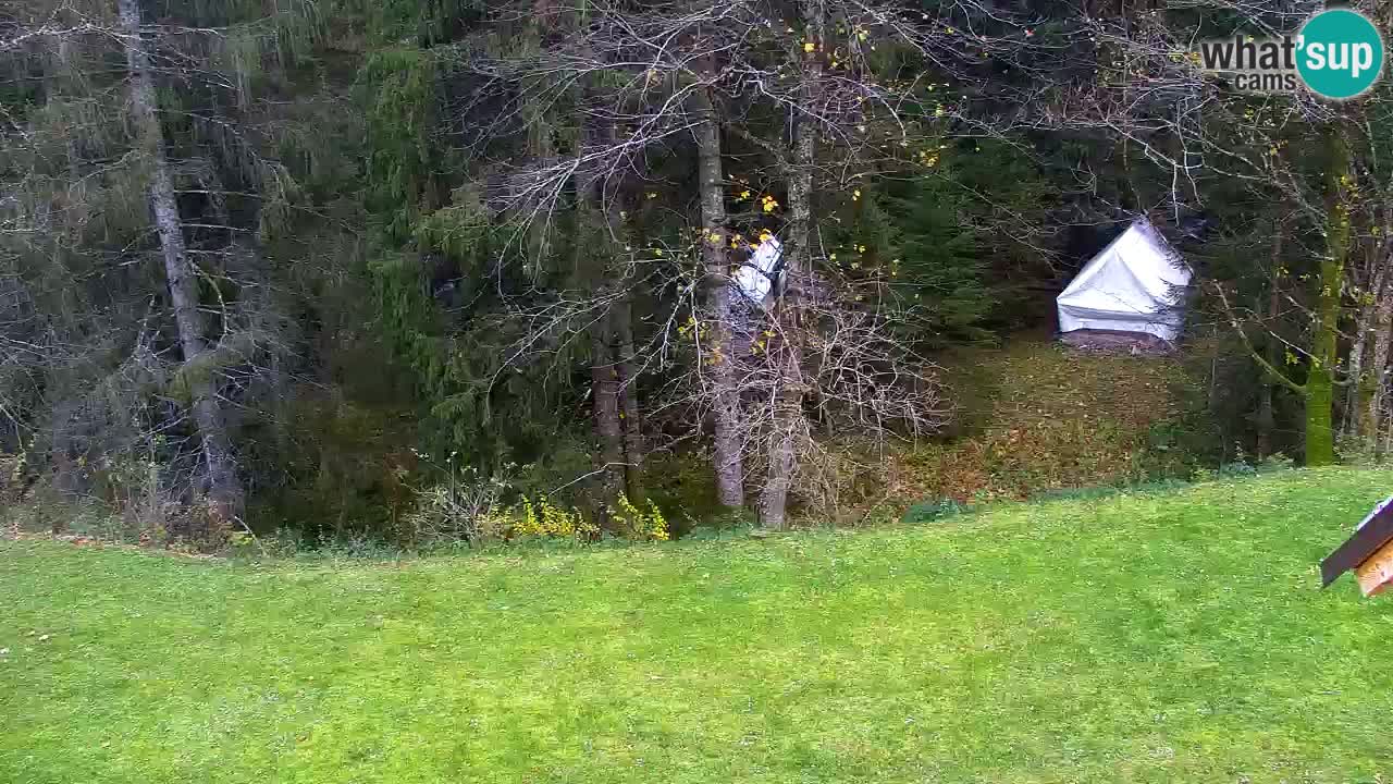 Webcam Lukanja – Water Village | Pohorje Houses