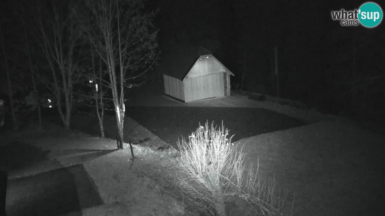 Webcam Lukanja – Pohorje houses a Water village