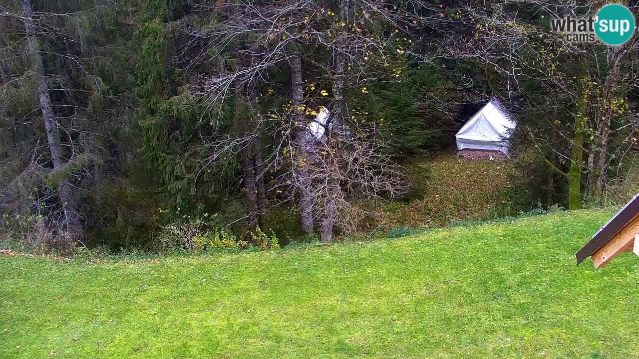 Webcam Lukanja – Water Village | Pohorje Houses