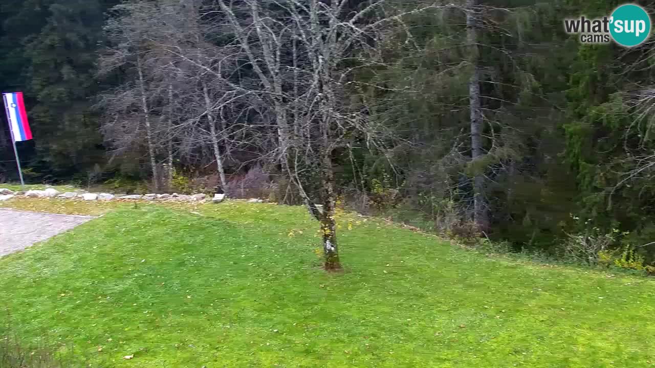 Webcam Lukanja – Pohorje houses a Water village