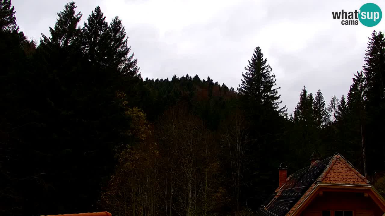 Webcam Lukanja – Water Village | Pohorje Houses