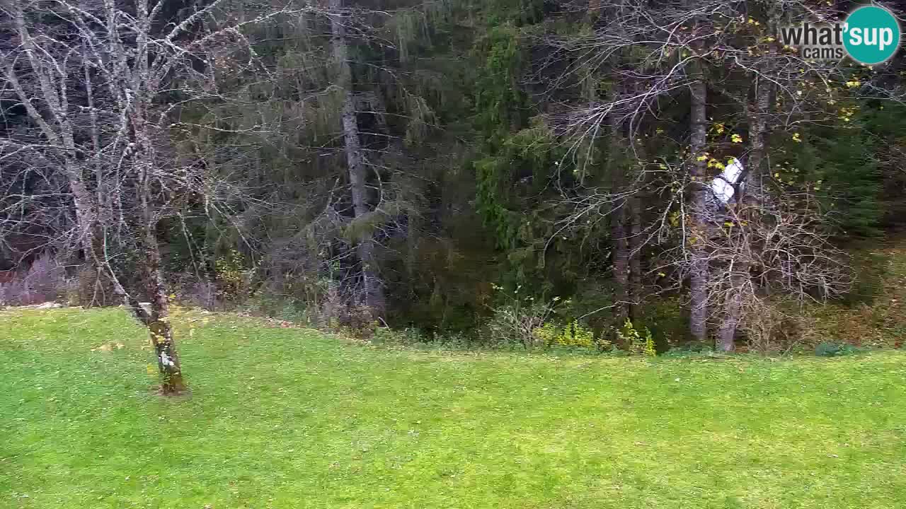 Webcam Lukanja – Water Village | Pohorje Houses