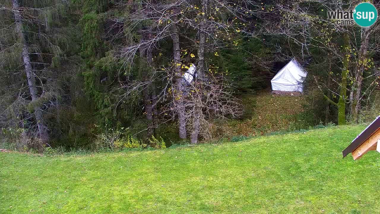 Webcam Lukanja – Water Village | Pohorje Houses