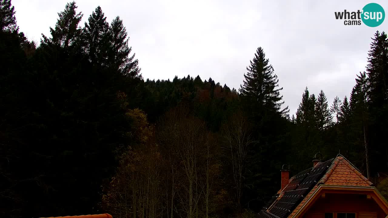 Webcam Lukanja – Water Village | Pohorje Houses