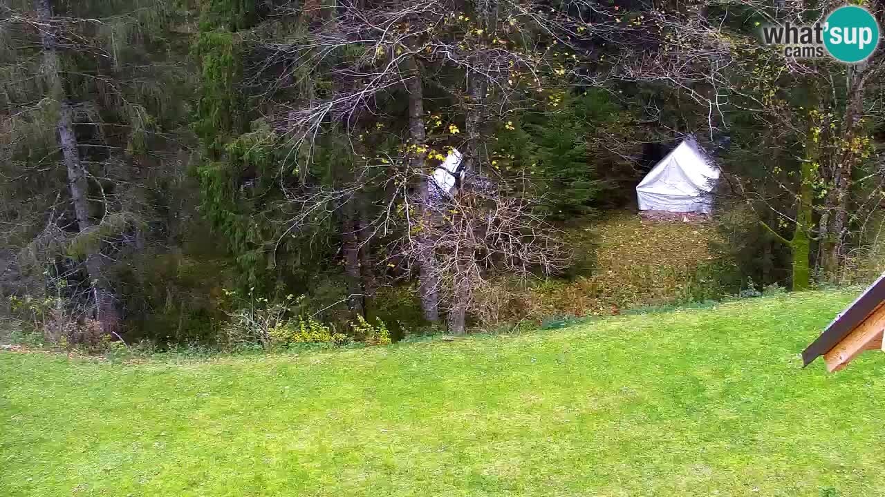 Webcam Lukanja – Water Village | Pohorje Houses