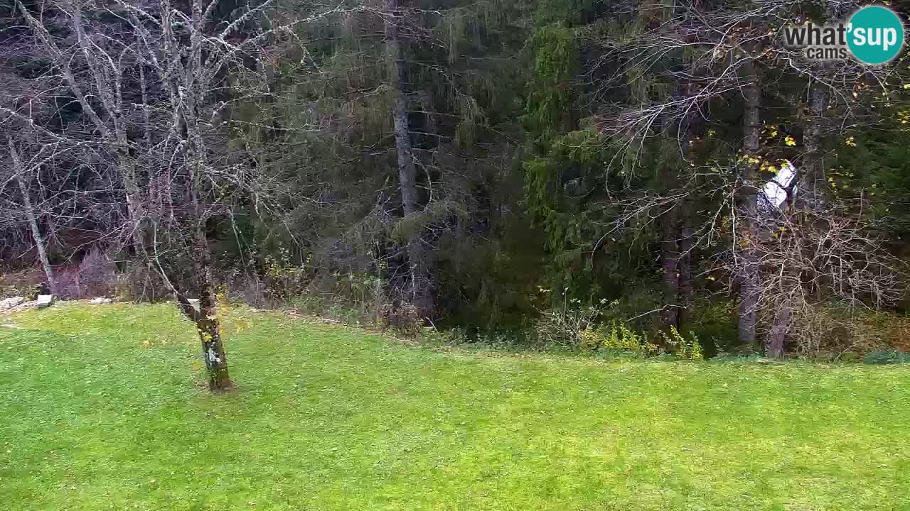 Webcam Lukanja – Water Village | Pohorje Houses