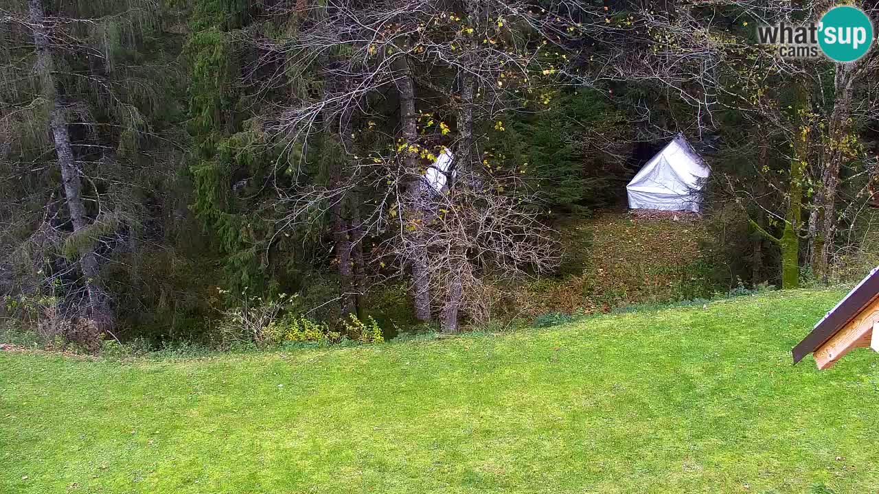 Spletna kamera Lukanja – Water Village | Pohorje Houses