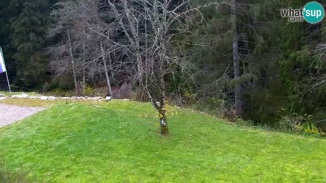 Spletna kamera Lukanja – Water Village | Pohorje Houses