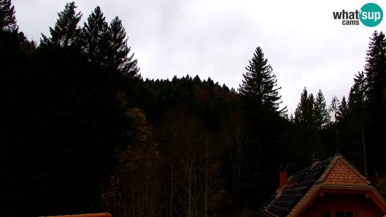 Webcam Lukanja – Pohorje houses a Water village