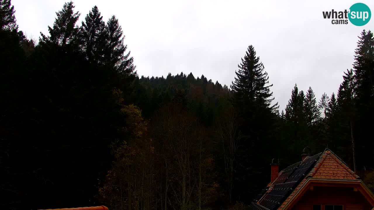 Webcam Lukanja – Water Village | Pohorje Houses