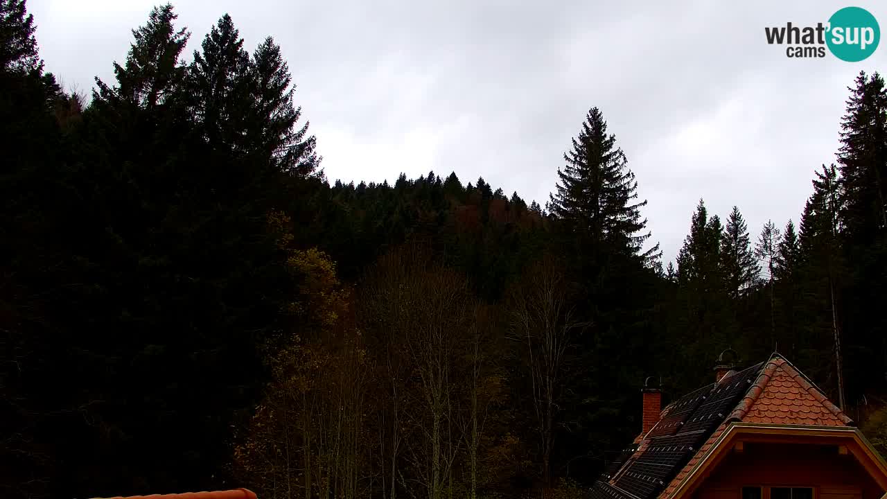 Web kamera Lukanja – Water Village | Pohorje Houses