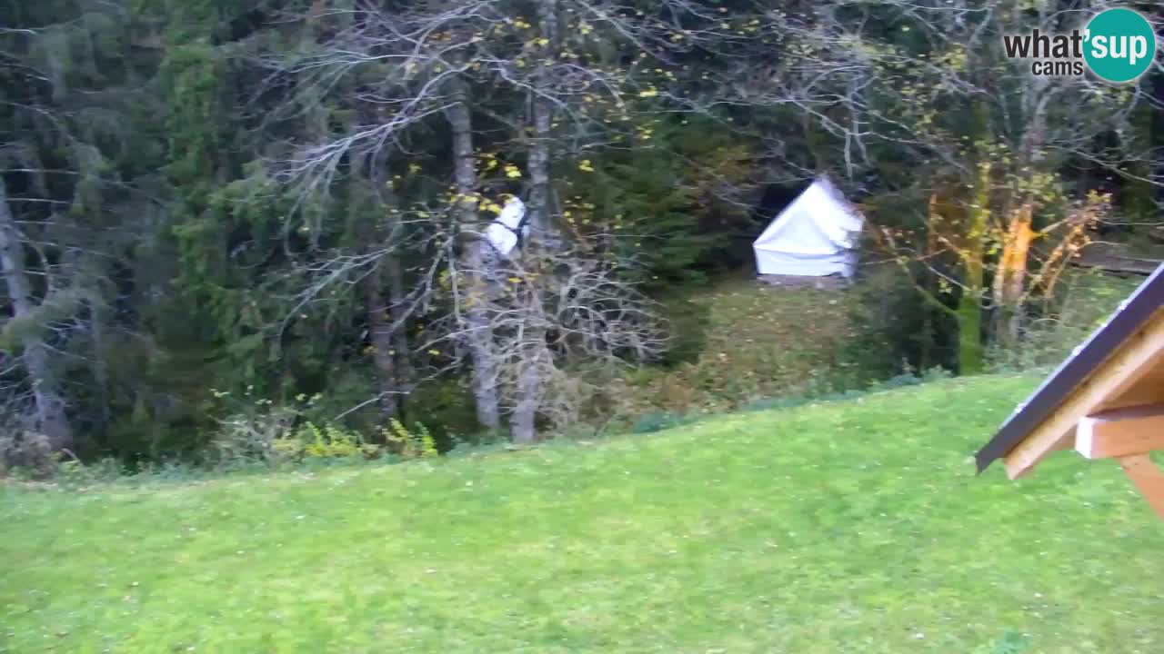 Webcam Lukanja – Water Village | Pohorje Houses