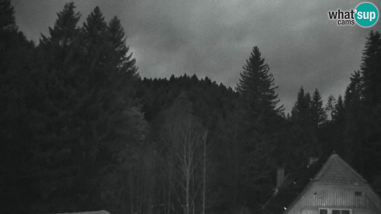 Spletna kamera Lukanja – Water Village | Pohorje Houses